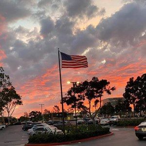 Meet your Posher, Katy